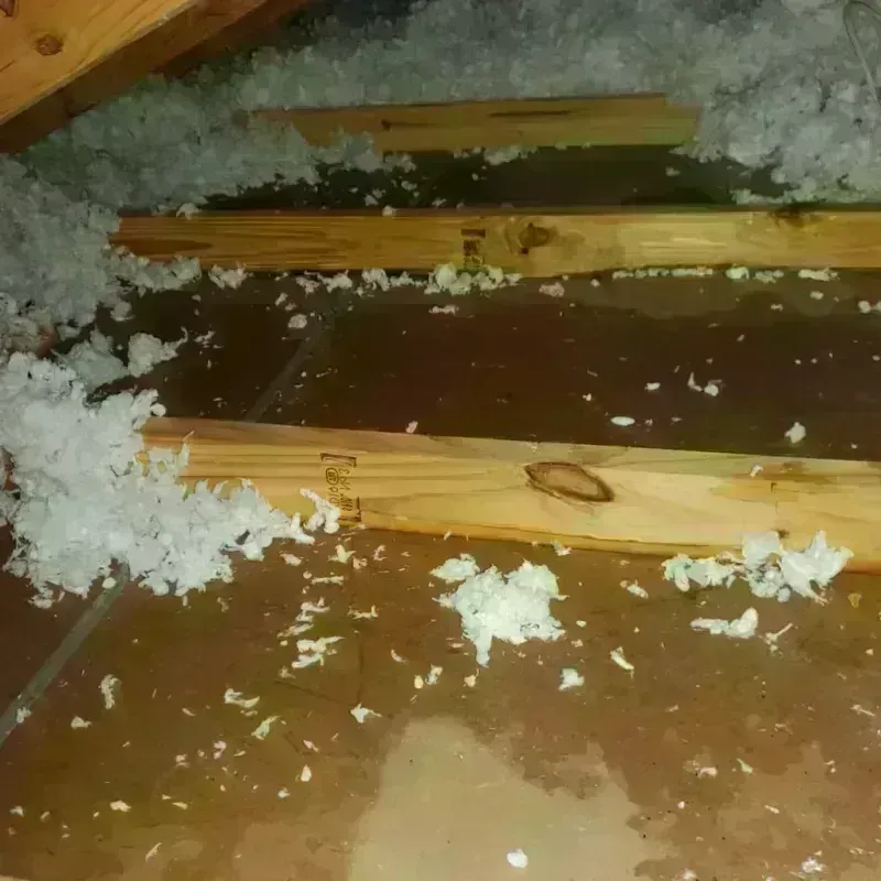 Attic Water Damage in East Rancho Dominguez, CA